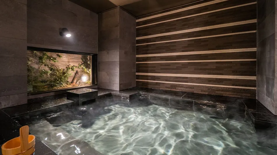 Natural Hot Spring Togo no Yu Super Hotel Higashi-Maizuru