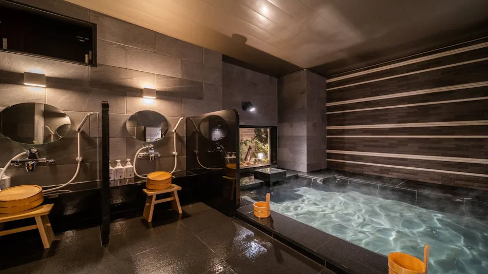 Natural Hot Spring Togo no Yu Super Hotel Higashi-Maizuru