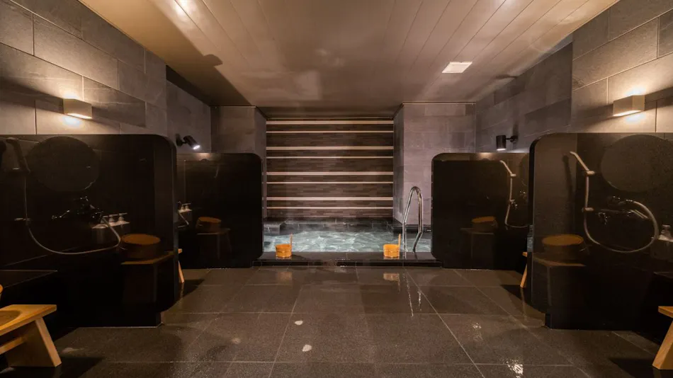 Natural Hot Spring Togo no Yu Super Hotel Higashi-Maizuru