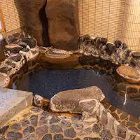 อ่างอาบน้ำในร่ม 'Tama no Yu'