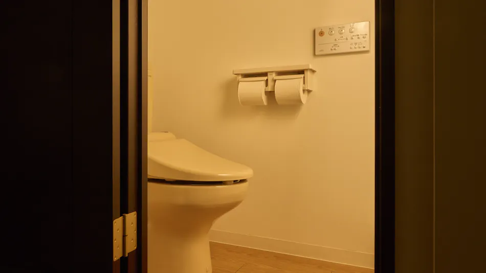 Emblem Flow Hakone