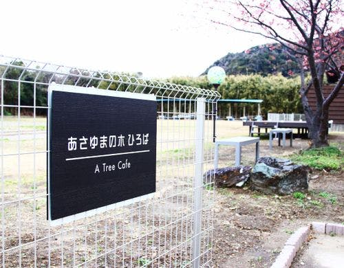 わんちゃんと遊べる広い広場