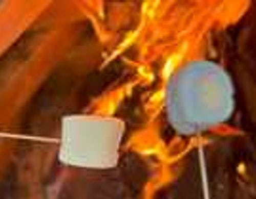 たき火スペースで焼きマシュマロ