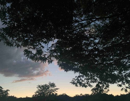 グランピングサイトでのマジックアワー