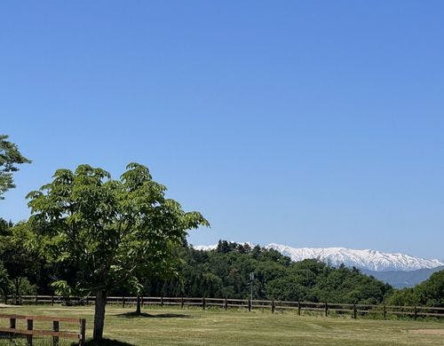 グランピングサイトから望む雪山の景色