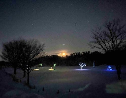 冬の夜の幻想的な雪景色