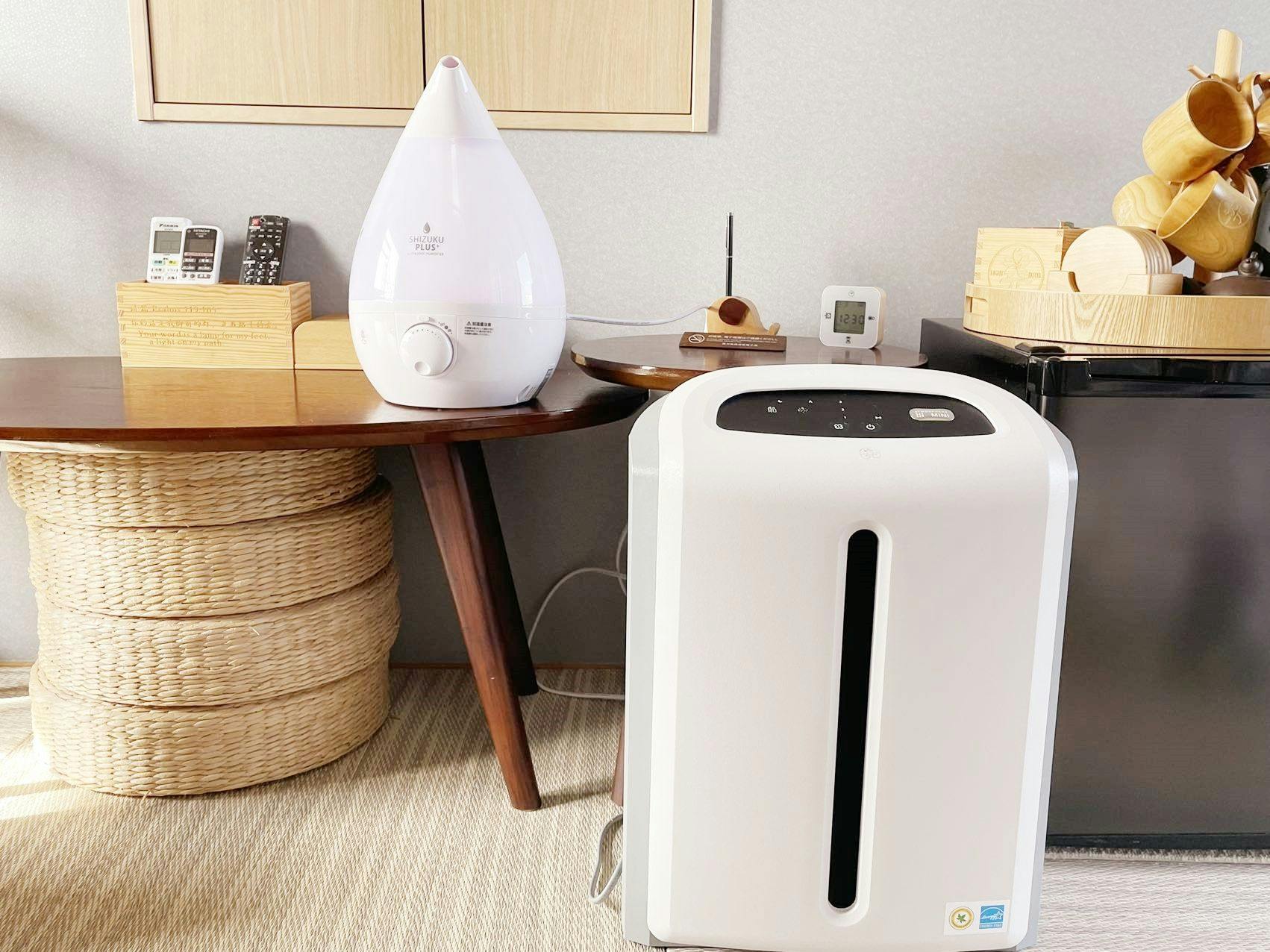 เครื่องฟอกอากาศและเครื่องเพิ่มความชื้น