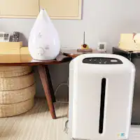 เครื่องฟอกอากาศและเครื่องเพิ่มความชื้น