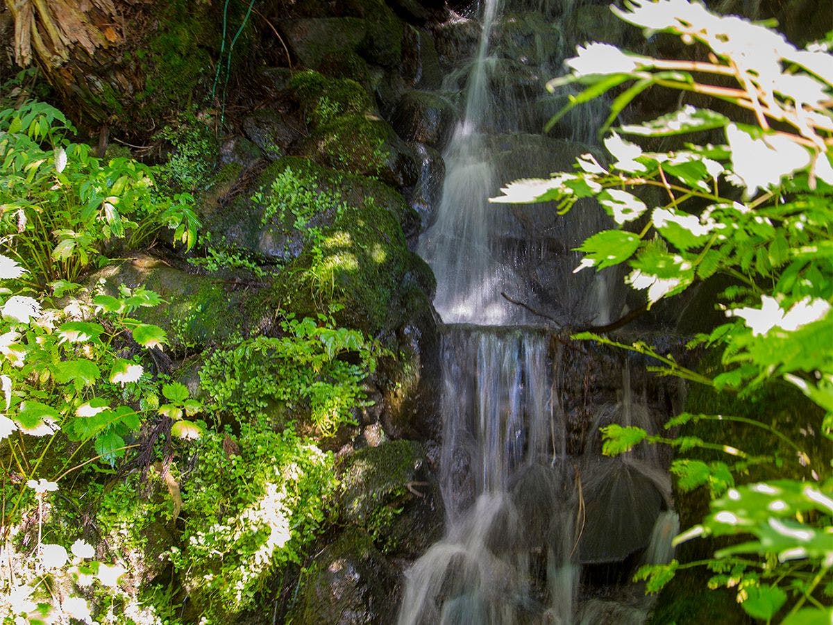 ・【บริเวณโดยรอบ】ล้อมรอบด้วยไอออนลบ