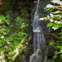 ・【บริเวณโดยรอบ】ล้อมรอบด้วยไอออนลบ