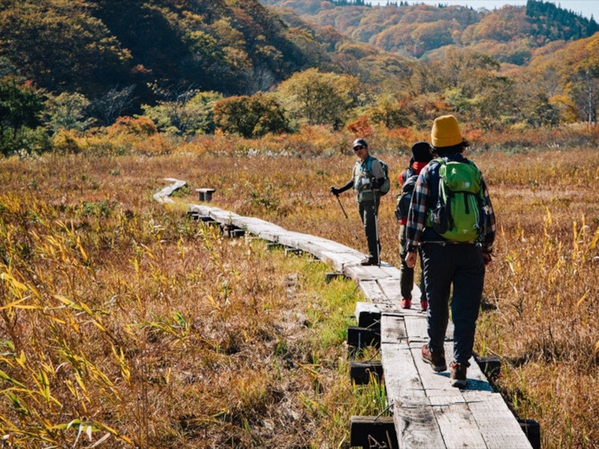 ・สำรวจเส้นทางชินเอ็ตสึพร้อมไกด์ที่ลงทะเบียน