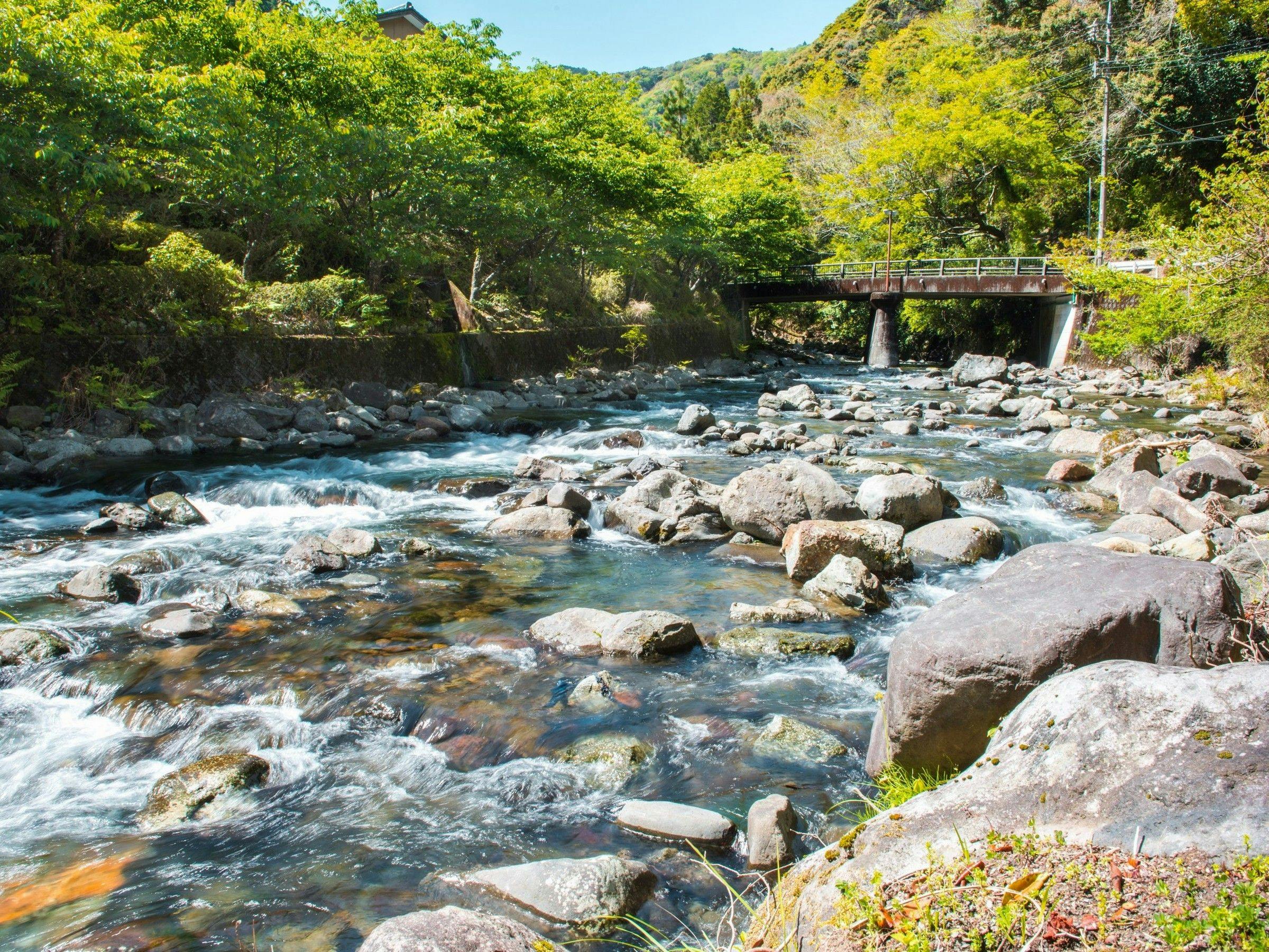 Nanataki Onsen Toge no Yu Oyasou