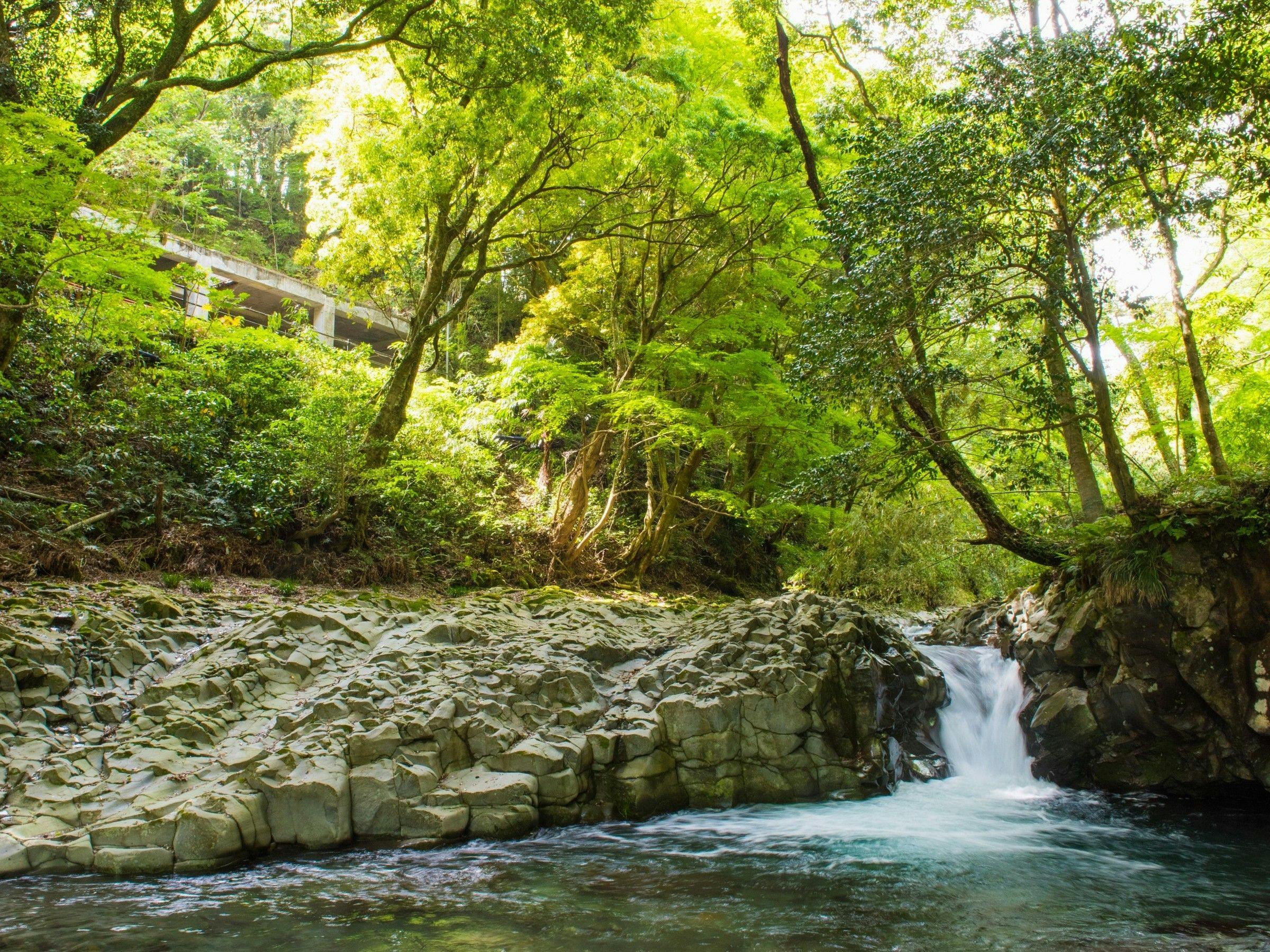 Nanataki Onsen Toge no Yu Oyasou
