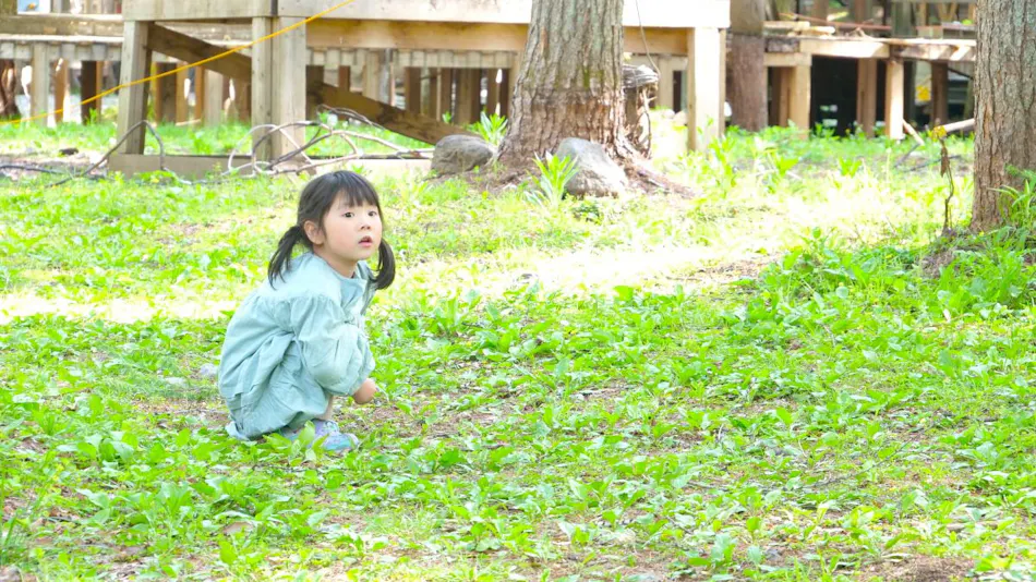 Forest and Lake Paradise ~Workshop Camp Resort~