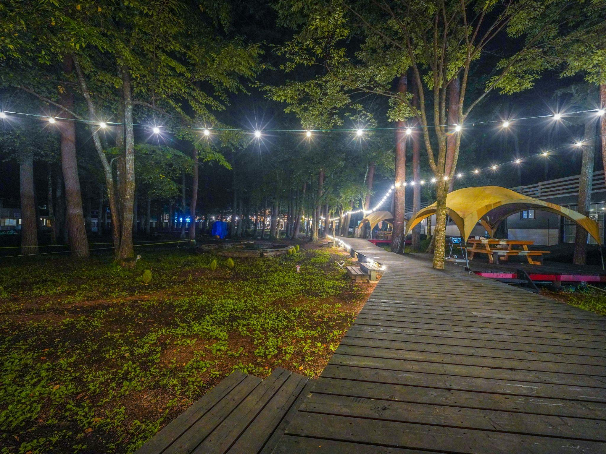 Forest and Lake Paradise ~Workshop Camp Resort~