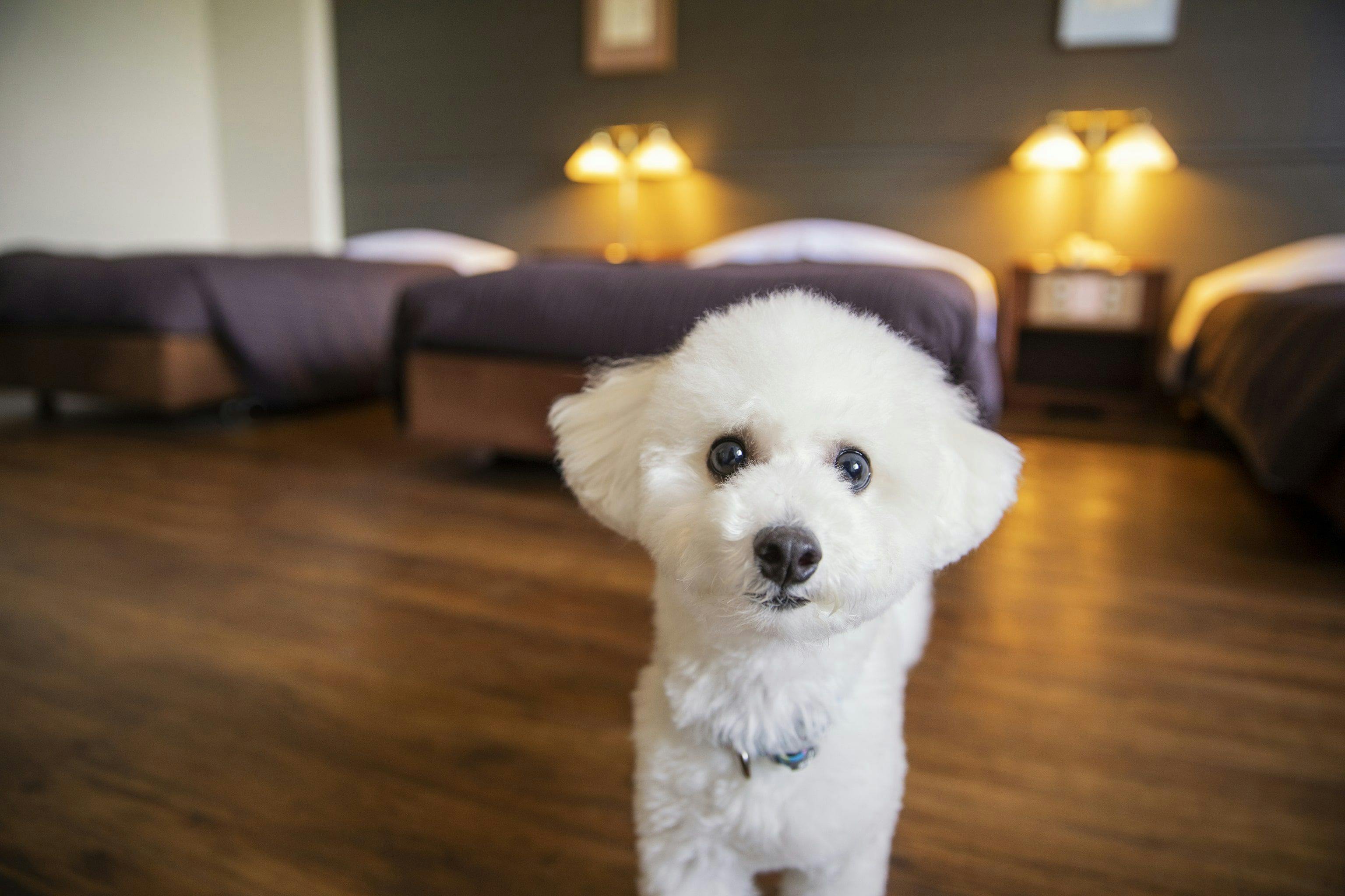 Menggunakan bahan lantai yang tidak licin.