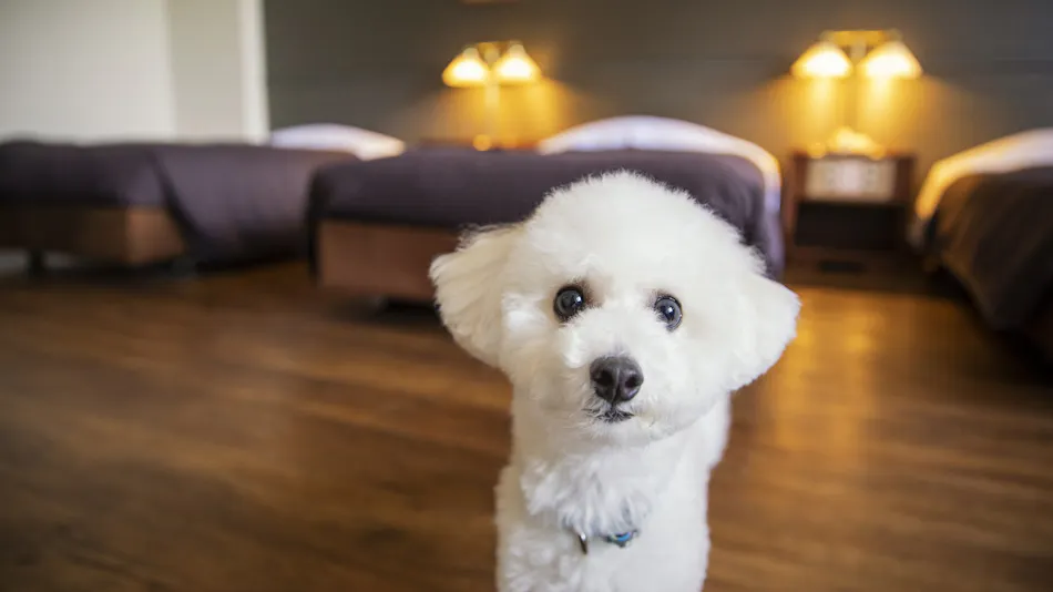 Yumoto Horohoro Sanso