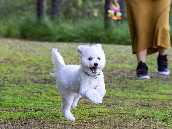 Yumoto Horohoro Sanso