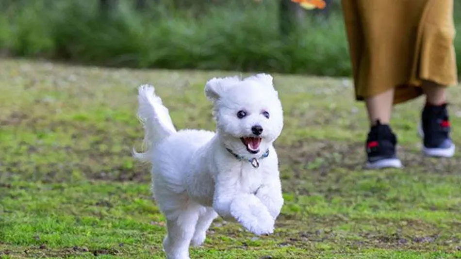 Yumoto Horohoro Sanso