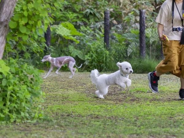 Yumoto Horohoro Sanso