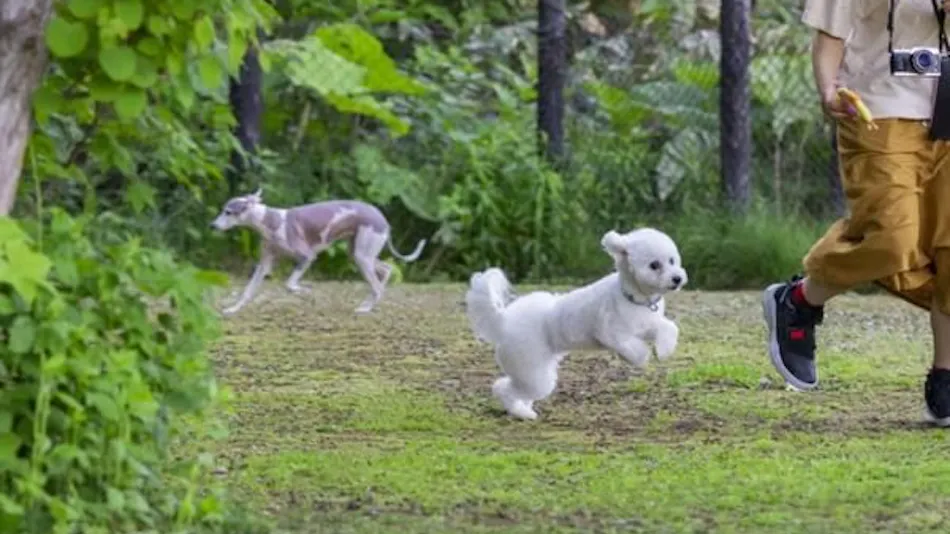 Yumoto Horohoro Sanso