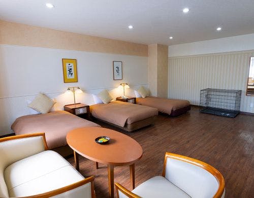 デラックストリプル