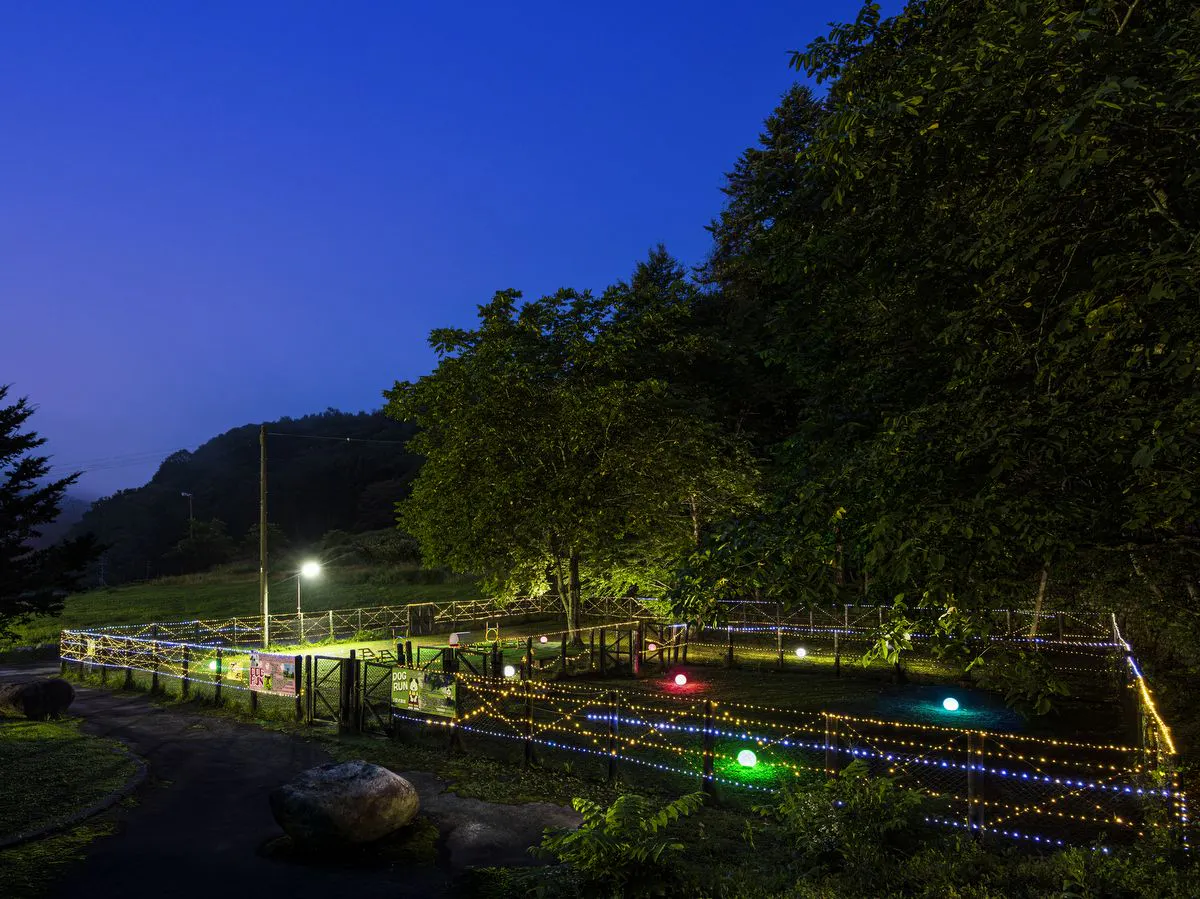 【สนามวิ่งสุนัขตอนกลางคืน】