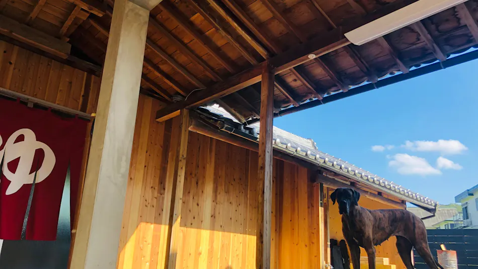 Awajishima dog dtay.CHIKUSA