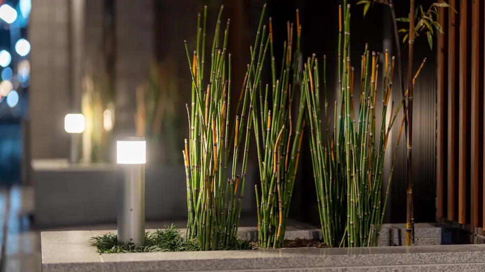 RESI STAY Kyoto Ryuvilux Nijo