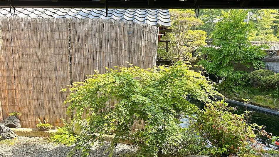 Koiya