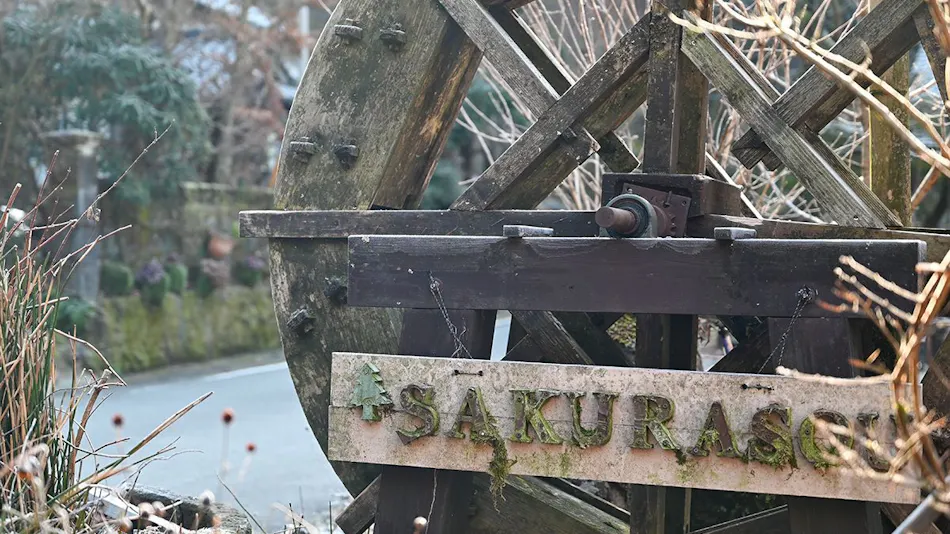 Sakura Inn: Mountain Village Cuisine