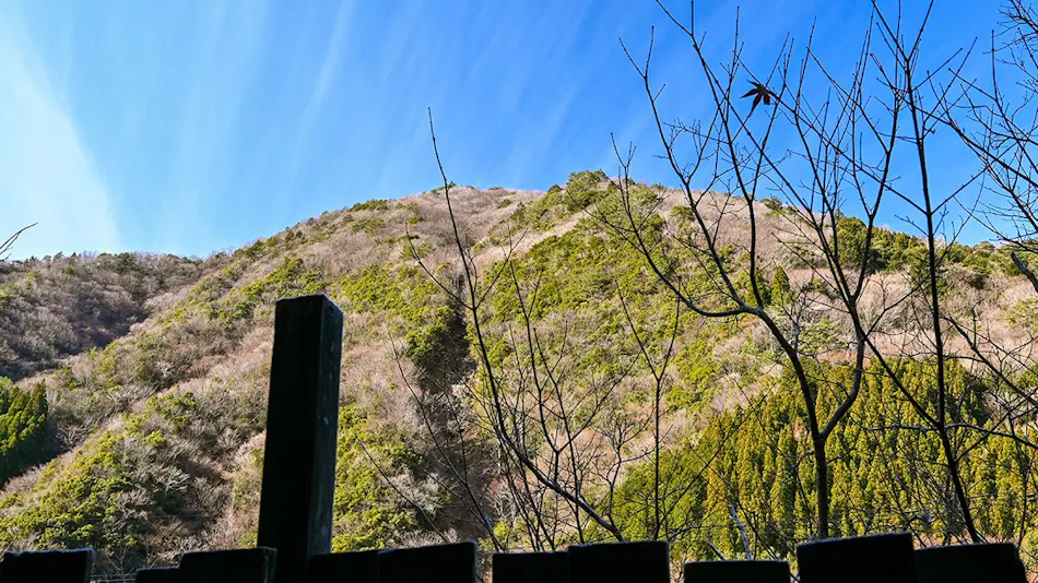 Sakura Inn: Mountain Village Cuisine
