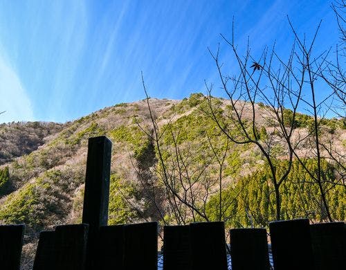 *【和室6畳（もみじ・さくら・けやき）】