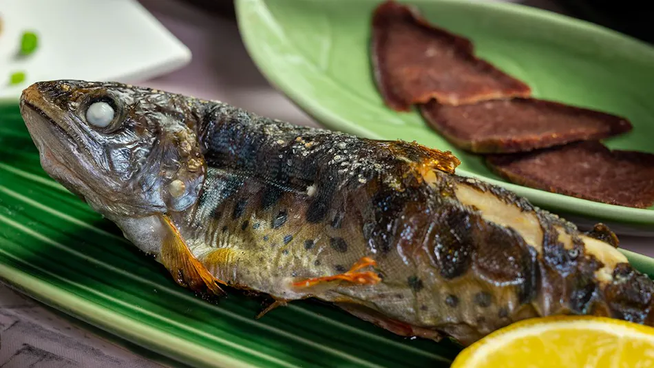 Sakura Inn: Mountain Village Cuisine