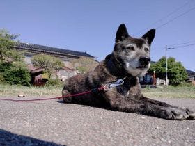 民宿　桃華園　＜佐渡島＞