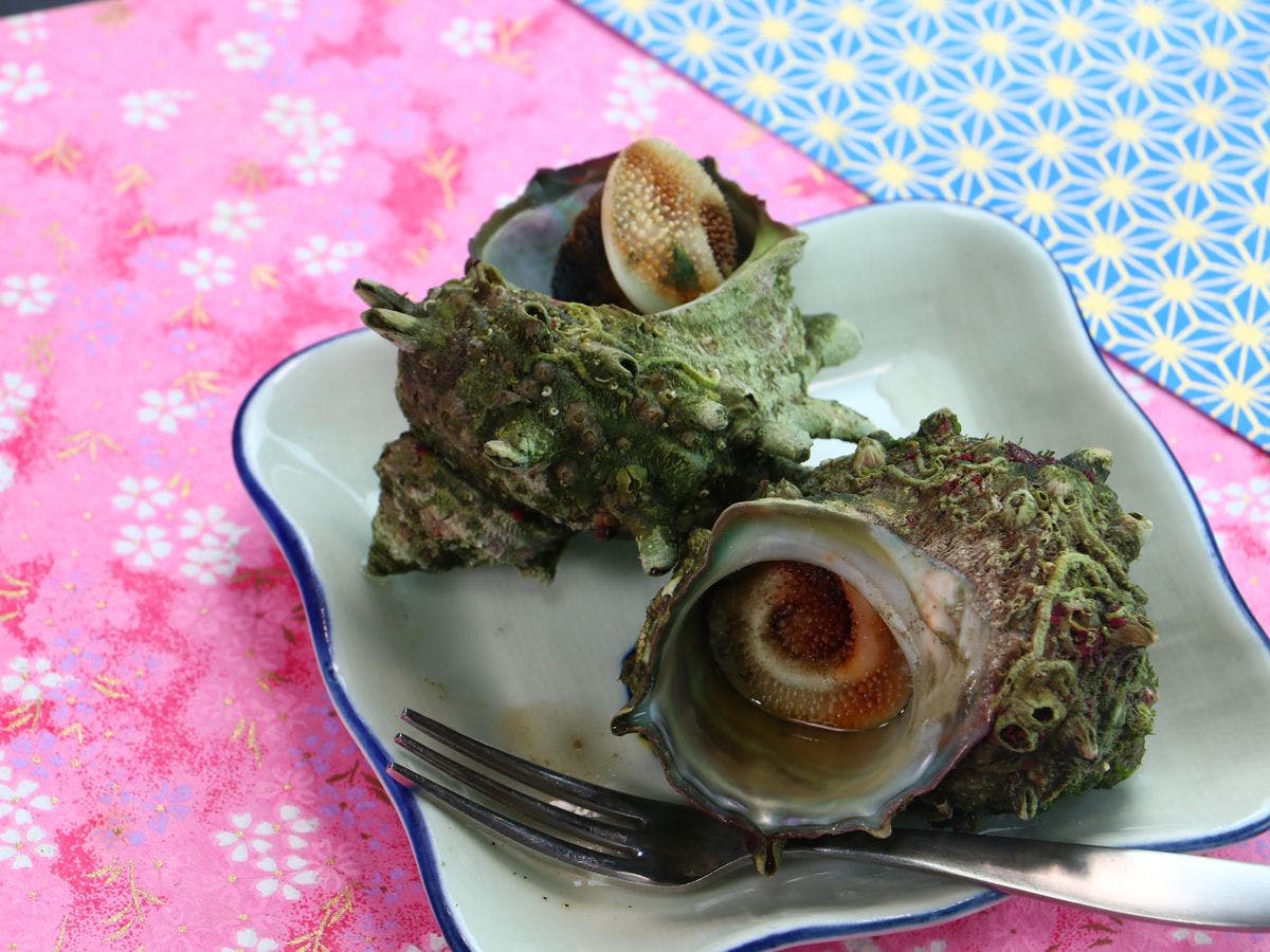 Minshuku Tokaen