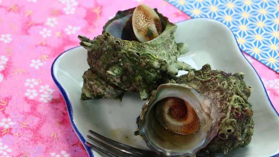 Minshuku Tokaen