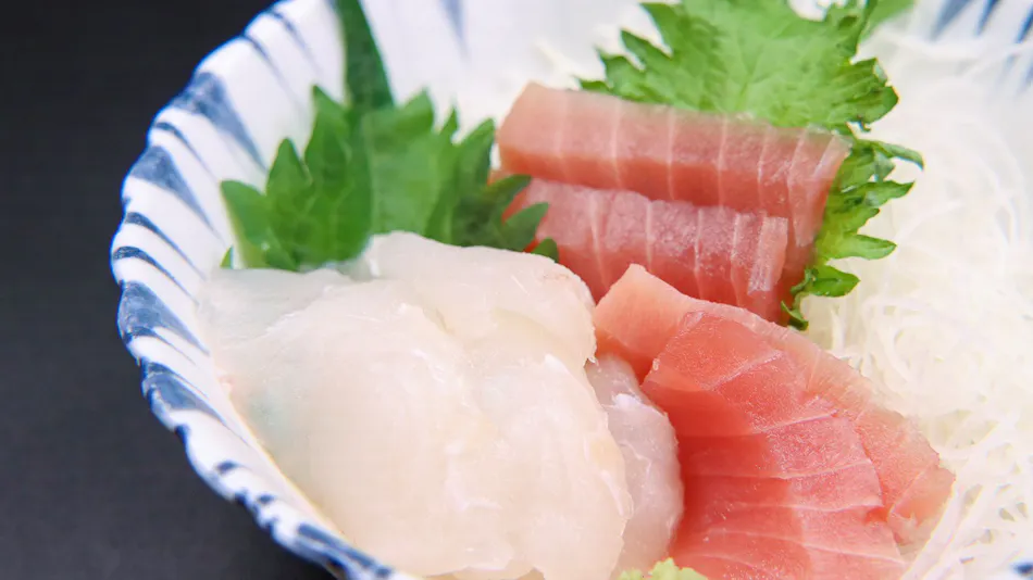 Minshuku Tokaen