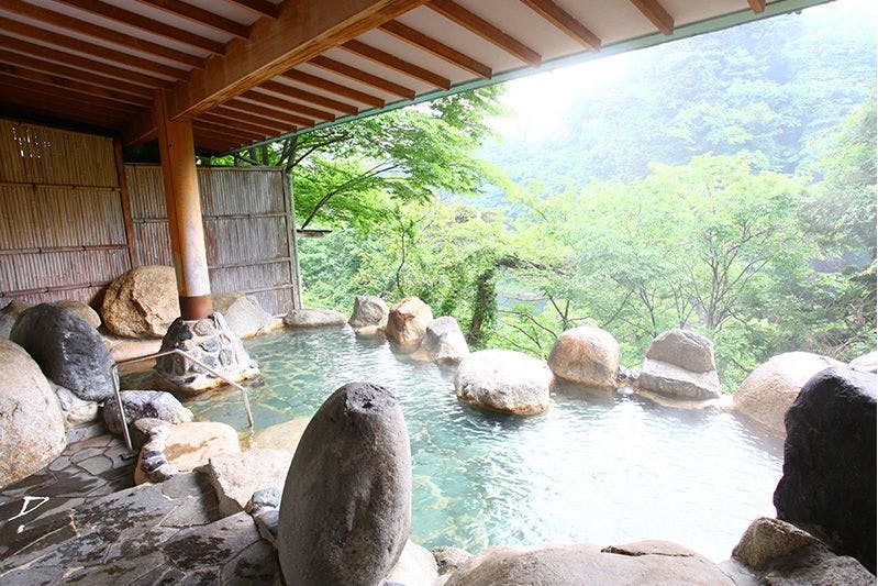 Kinugawa Onsen Hotel New Ooruri