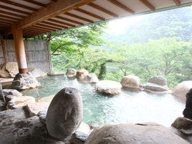 鬼怒川温泉ホテルニューおおるり