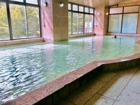 鬼怒川温泉ホテルニューおおるり