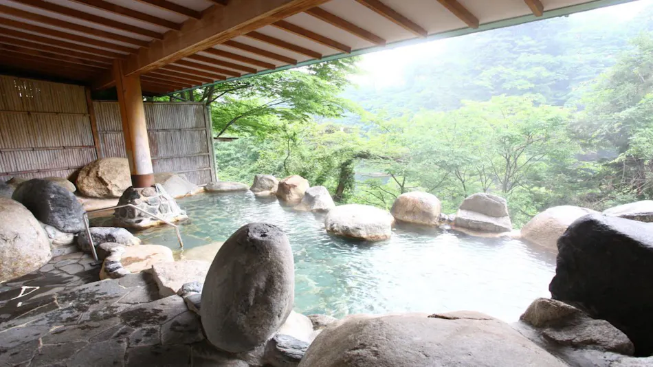 Kinugawa Onsen Hotel New Ooruri