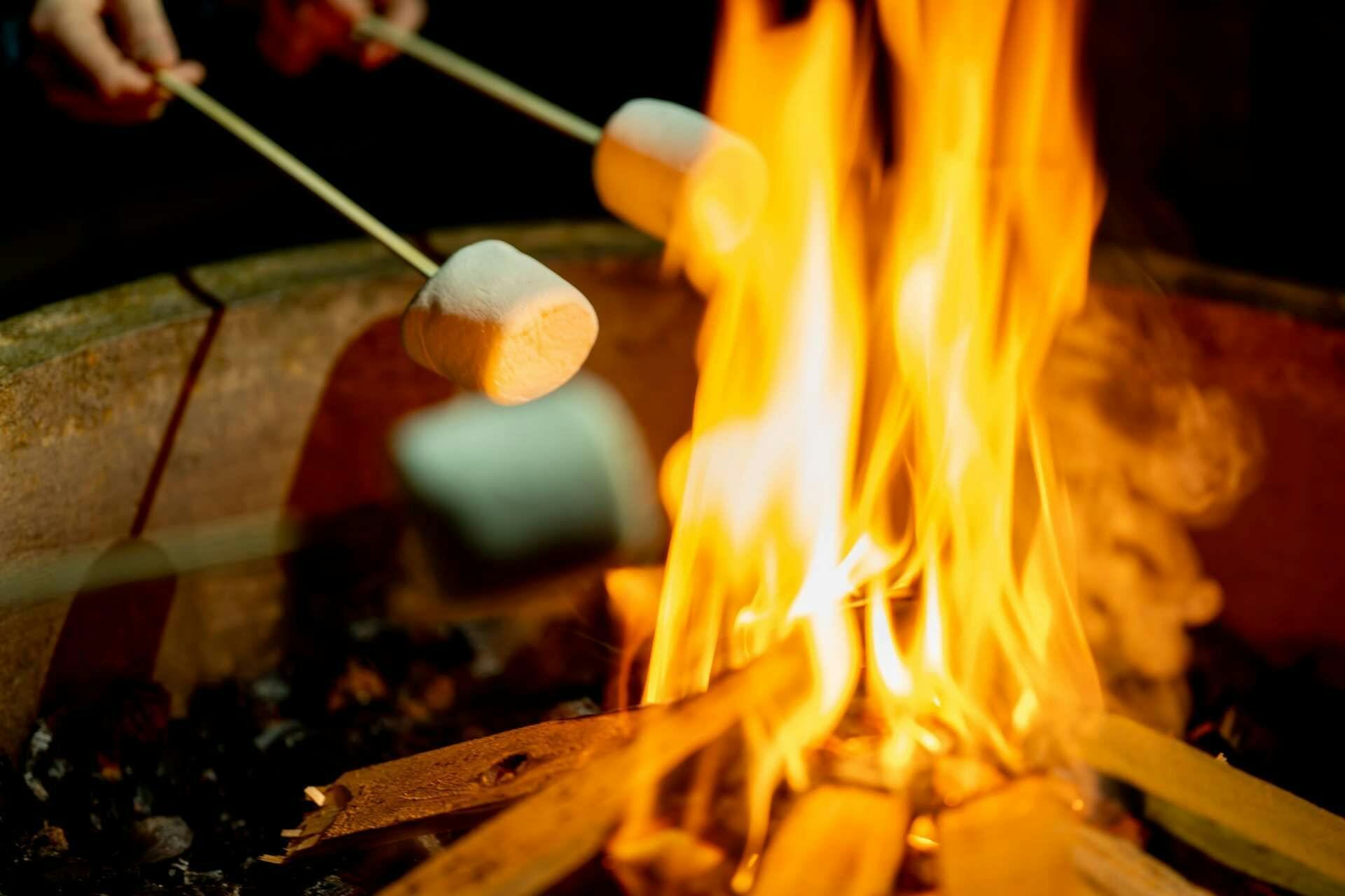 Berikan bahan-bahan untuk s'mores!