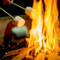 Berikan bahan-bahan untuk s'mores!