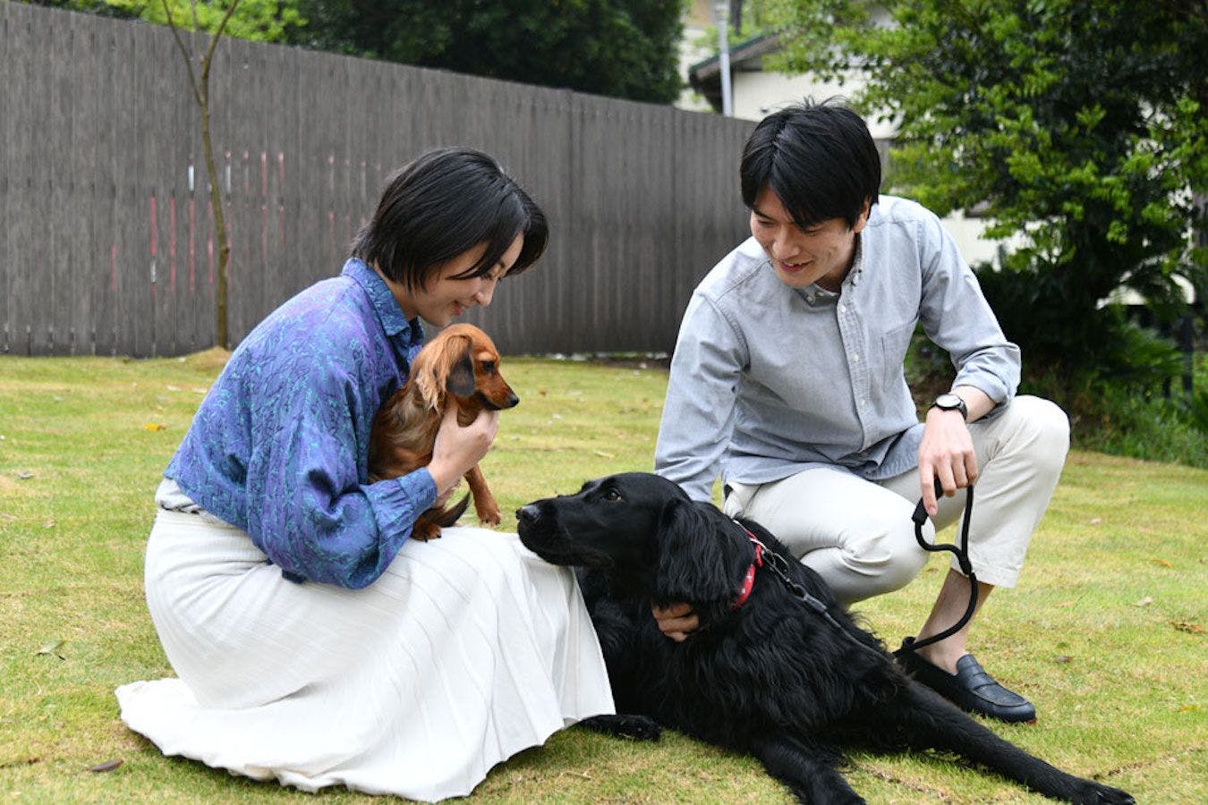 พื้นที่วิ่งเล่นสำหรับสุนัขกว้างขวางและเป็นส่วนตัวทั้งหมด.