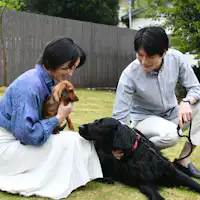 พื้นที่วิ่งเล่นสำหรับสุนัขกว้างขวางและเป็นส่วนตัวทั้งหมด.