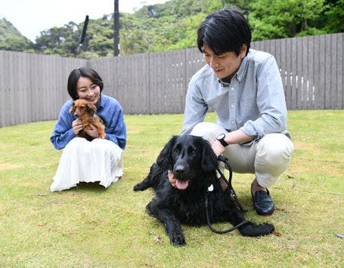 ドッグランはひろびろ完全貸切。