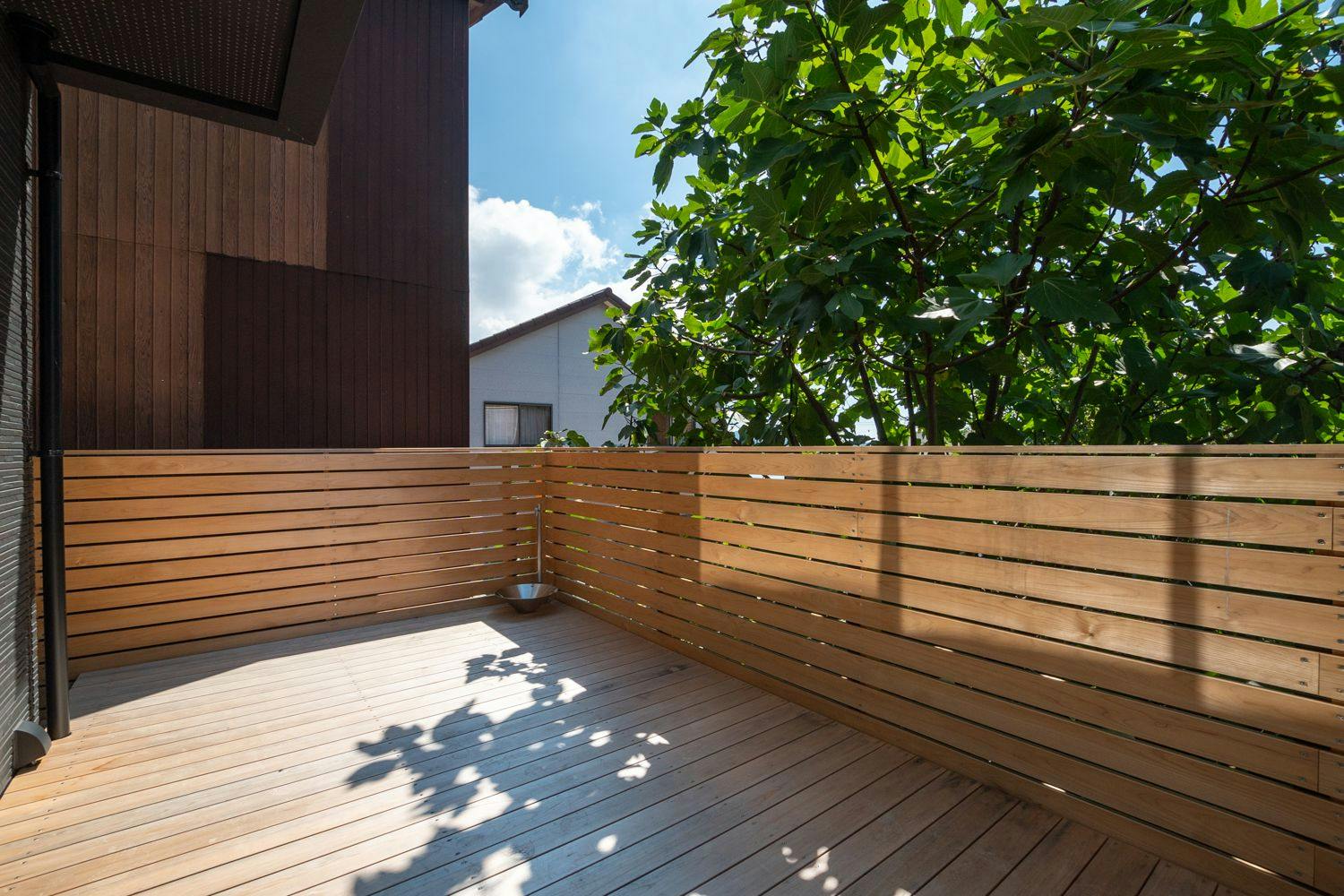 Awaji Island C-Side | Tail Up