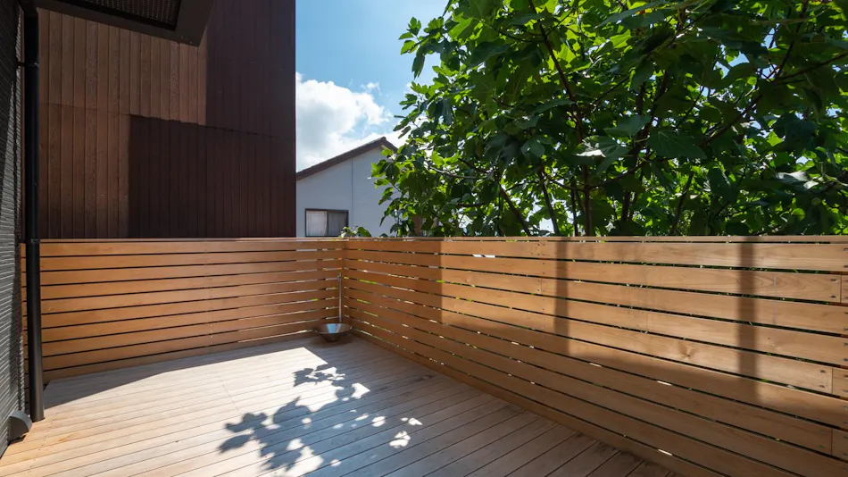 Awaji Island C-Side | Tail Up