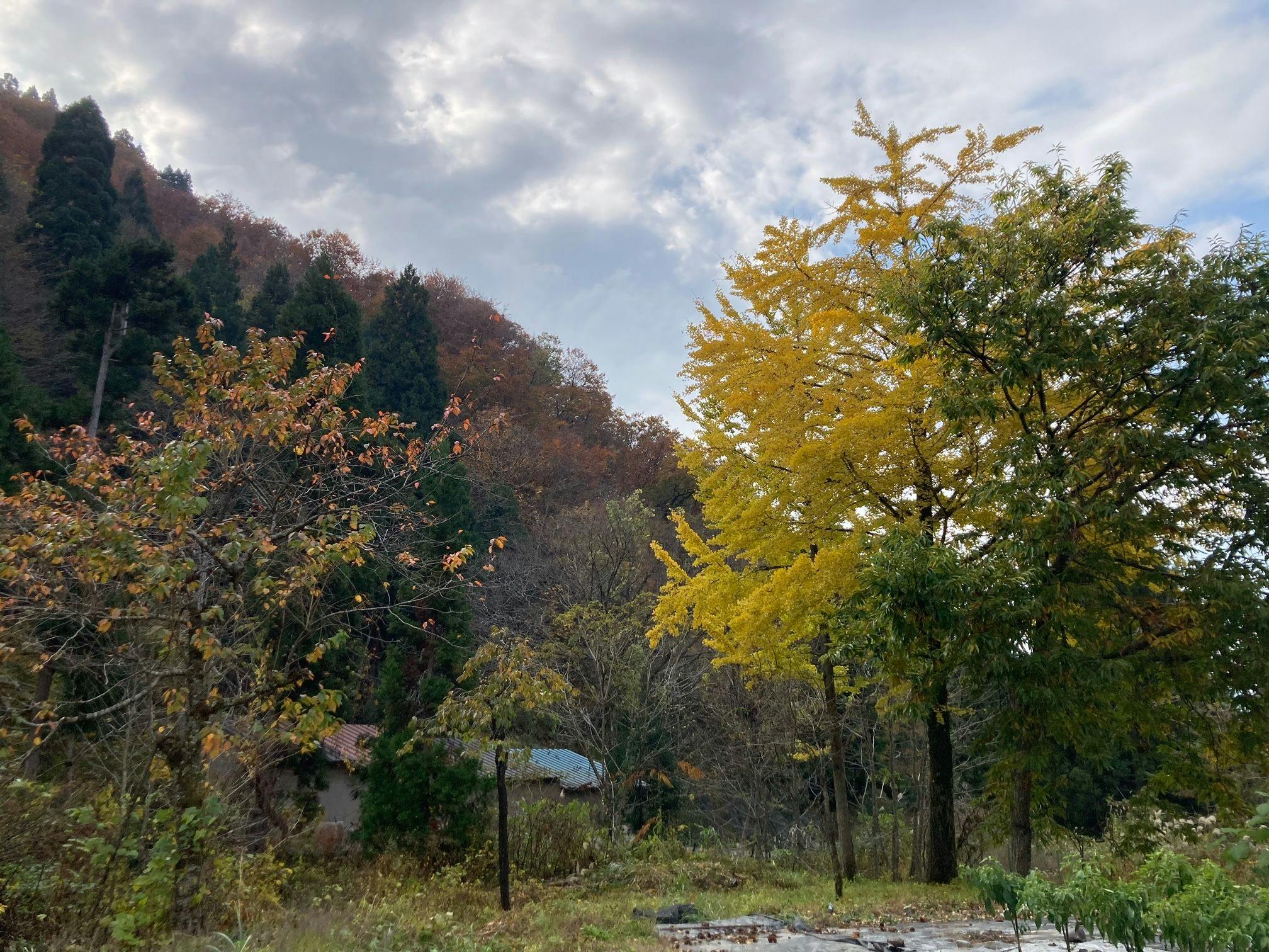 TABIHAKU STAY Hakusan